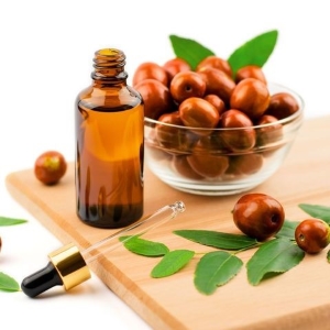 Jojobaöl und Jojobabohnen